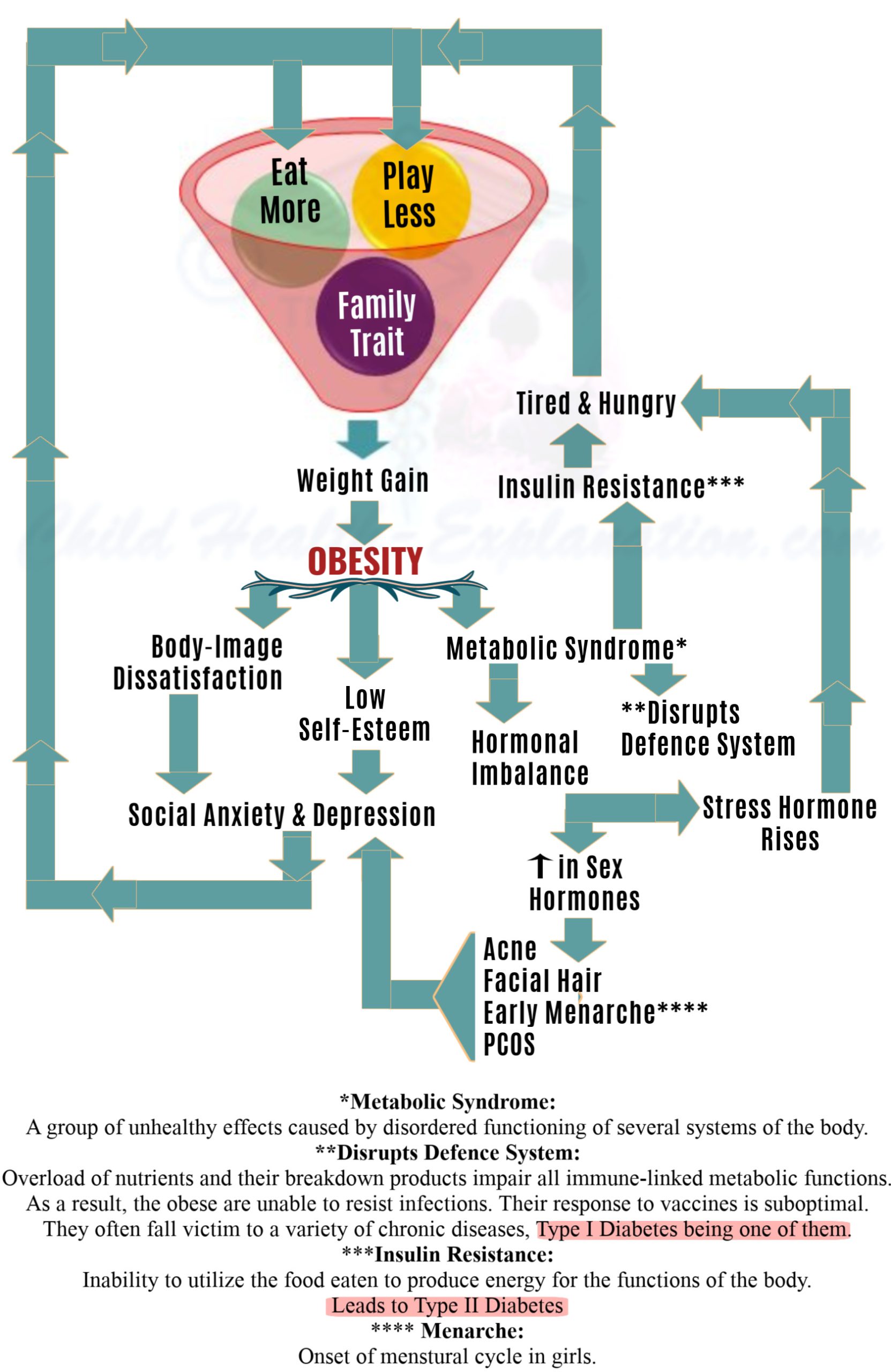 Causes Adolescent Obesity 