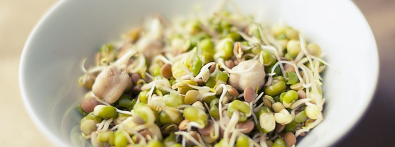 Soybean Sprouts